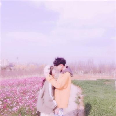 2024年1月26日涨停板早知道：七大利好有望发酵
